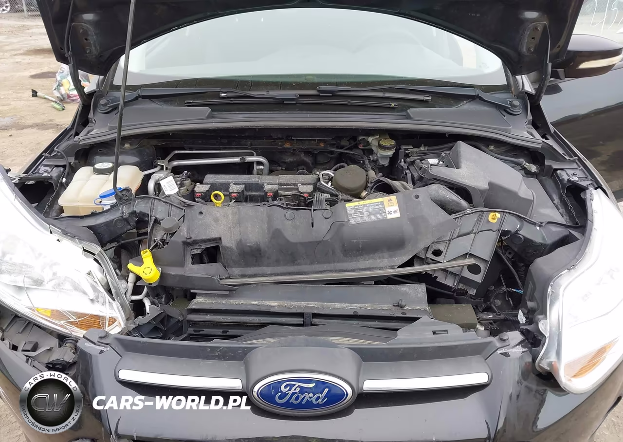 2013 Ford Focus Se VIN:1FADP3F26DL250568 - 10