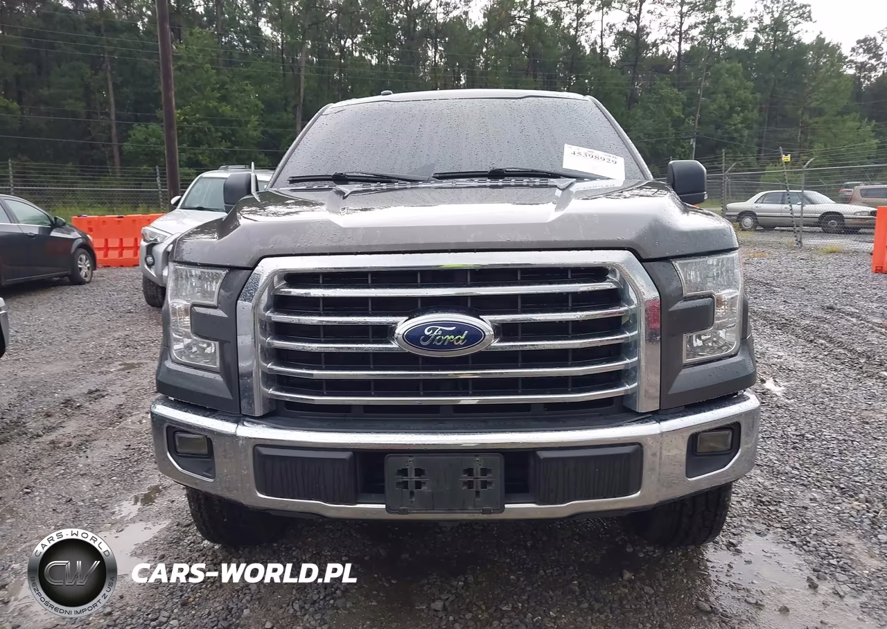 2016 Ford F-150 Lariat-Xl-Xlt VIN:1FTEW1CP9GKF63131 - 12