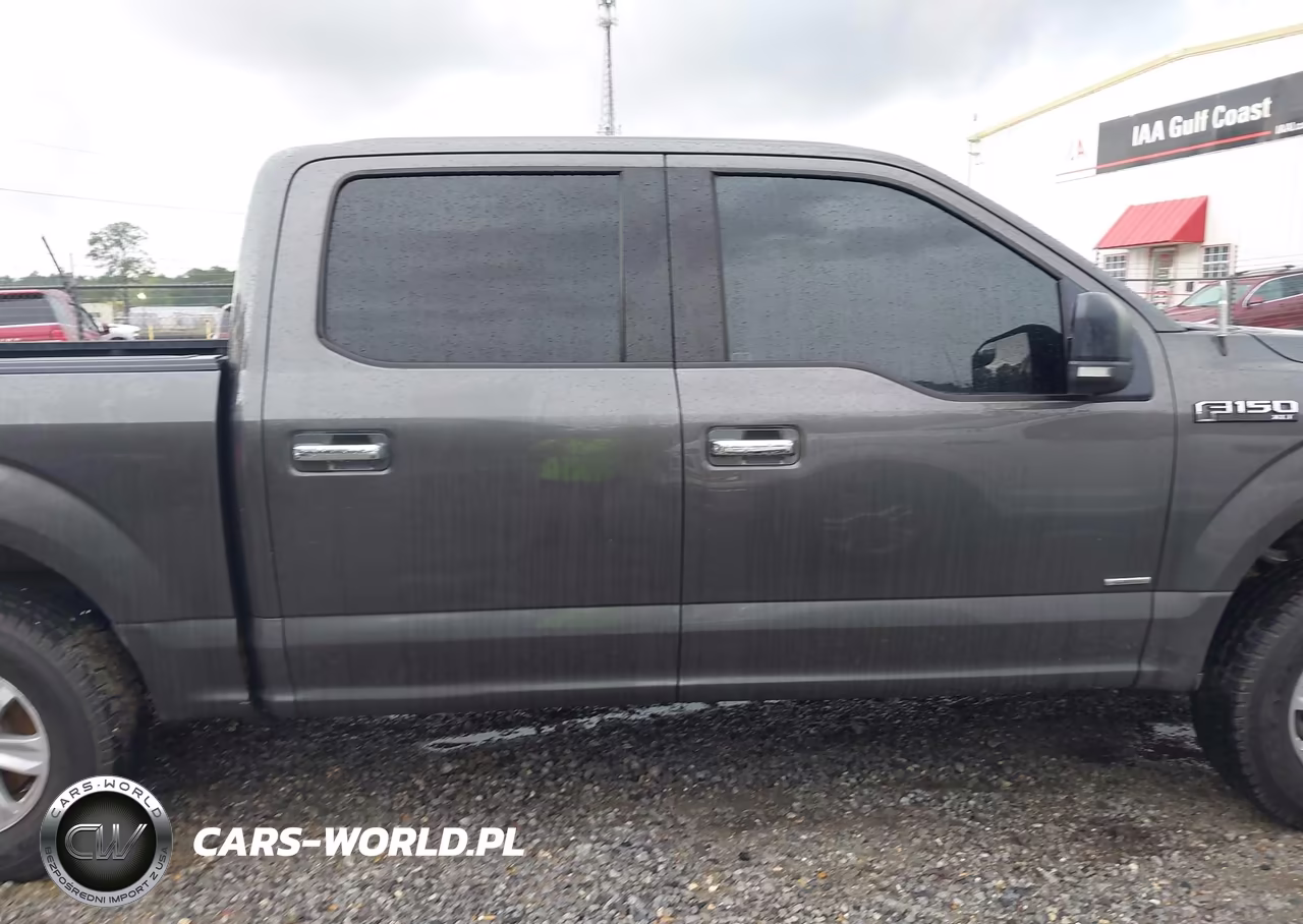 2016 Ford F-150 Lariat-Xl-Xlt VIN:1FTEW1CP9GKF63131 - 13