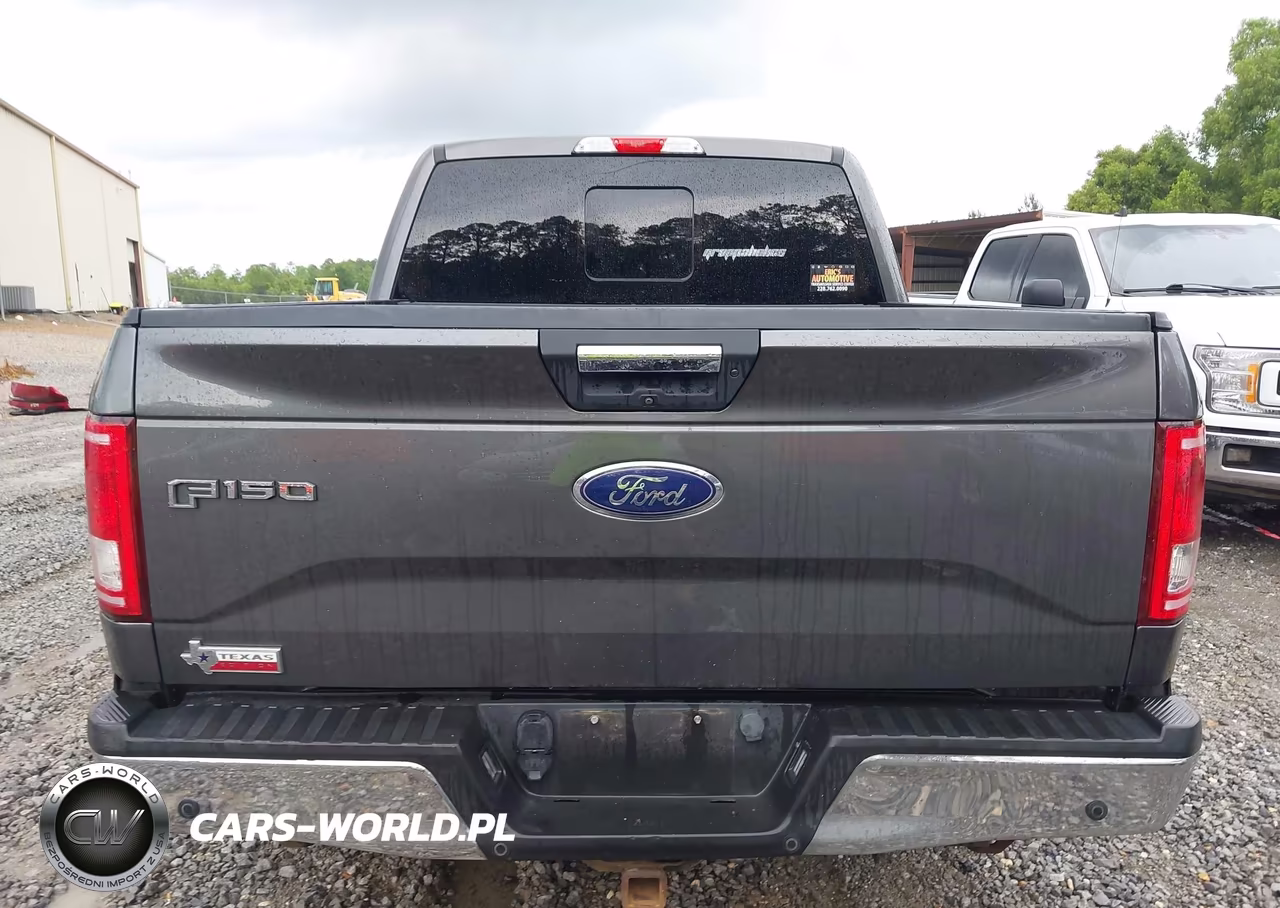 2016 Ford F-150 Lariat-Xl-Xlt VIN:1FTEW1CP9GKF63131 - 16