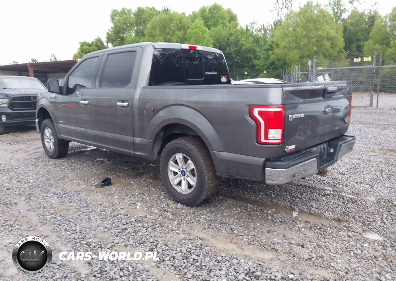2016 Ford F-150 Lariat-Xl-Xlt VIN:1FTEW1CP9GKF63131 - 3