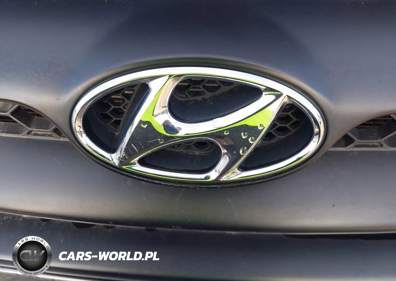 2008 Hyundai Santa Fe Gls VIN:5NMSG13D68H196837 - 13