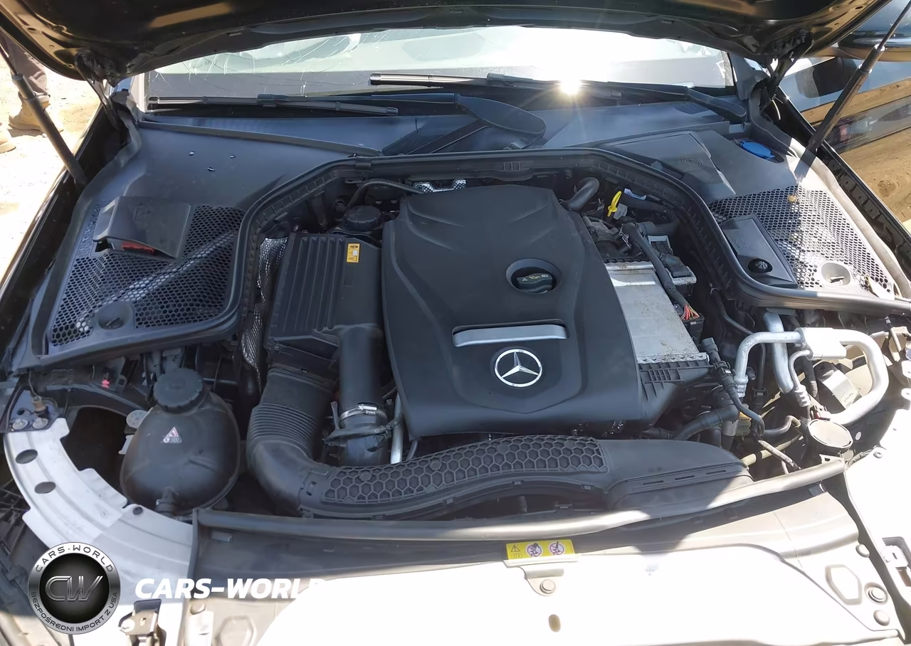 2017 Mercedes-Benz C 300 VIN:55SWF4JB4HU194530 - 10