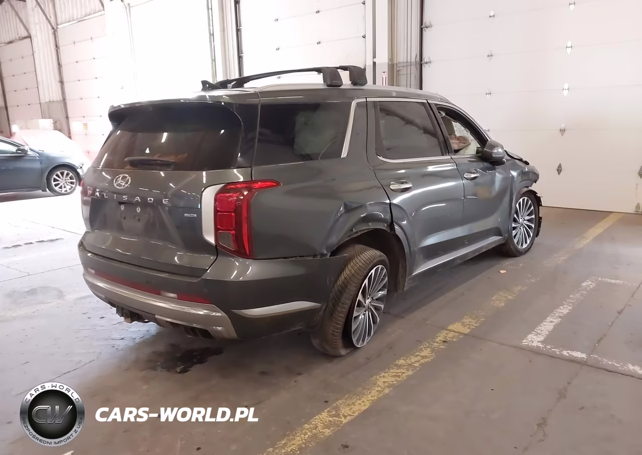 2023 Hyundai Palisade Calligraphy VIN:KM8R7DGE3PU592245 - 4