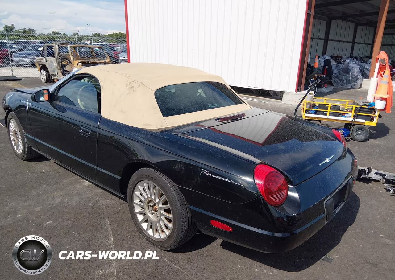 2005 Ford Thunderbird 50Th Anniversary VIN:1FAHP60A05Y103931 - 3