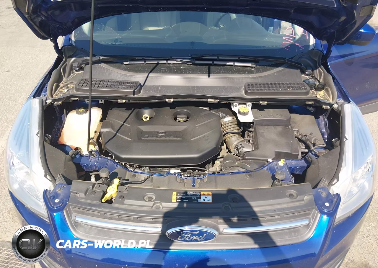 2016 Ford Escape Se VIN:1FMCU9G92GUB37837 - 10