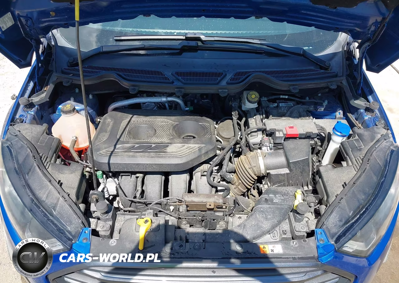 2018 Ford Ecosport Ses VIN:MAJ6P1CL9JC233284 - 10