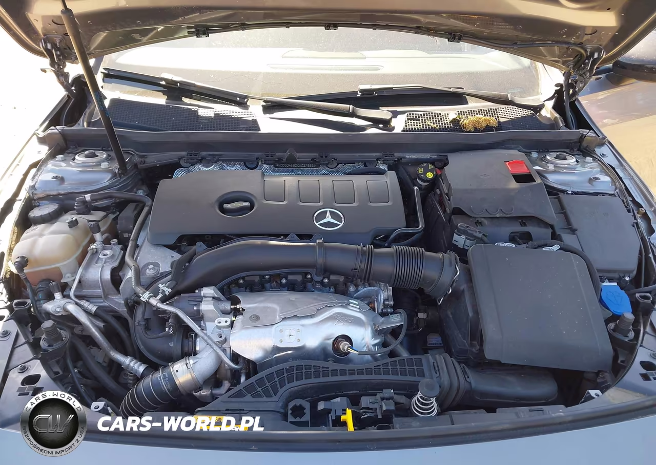 2019 Mercedes-Benz A 220 VIN:WDD3G4EB0KW027683 - 10