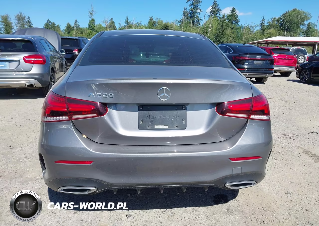 2019 Mercedes-Benz A 220 VIN:WDD3G4EB0KW027683 - 16