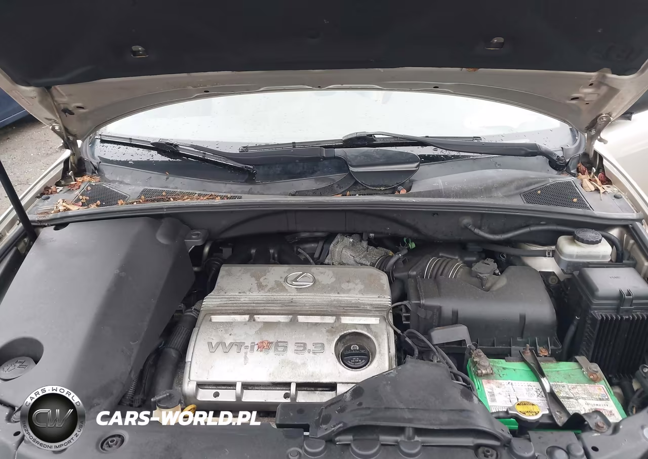 2004 Lexus Rx 330 VIN:JTJHA31U040029049 - 10