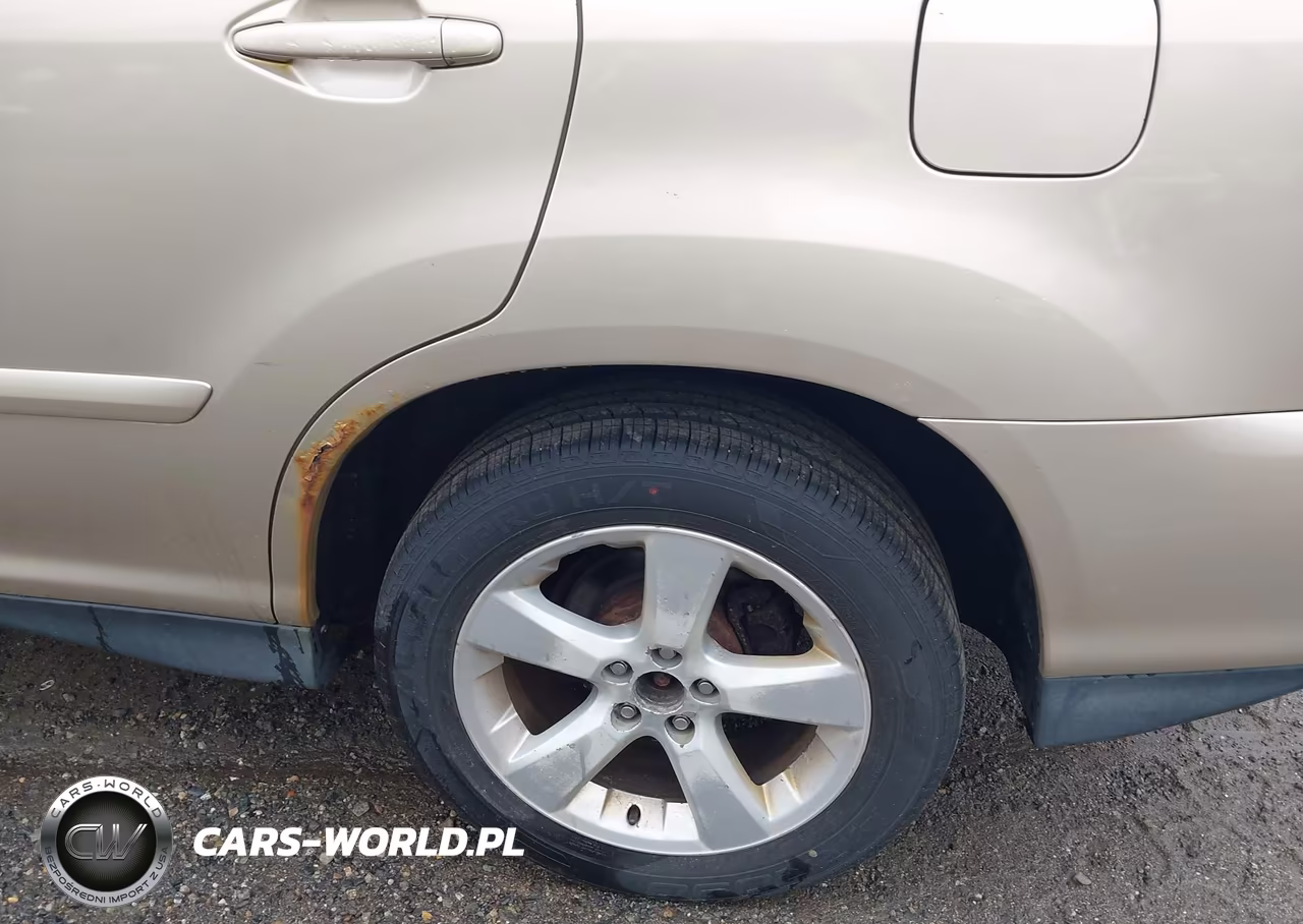 2004 Lexus Rx 330 VIN:JTJHA31U040029049 - 12