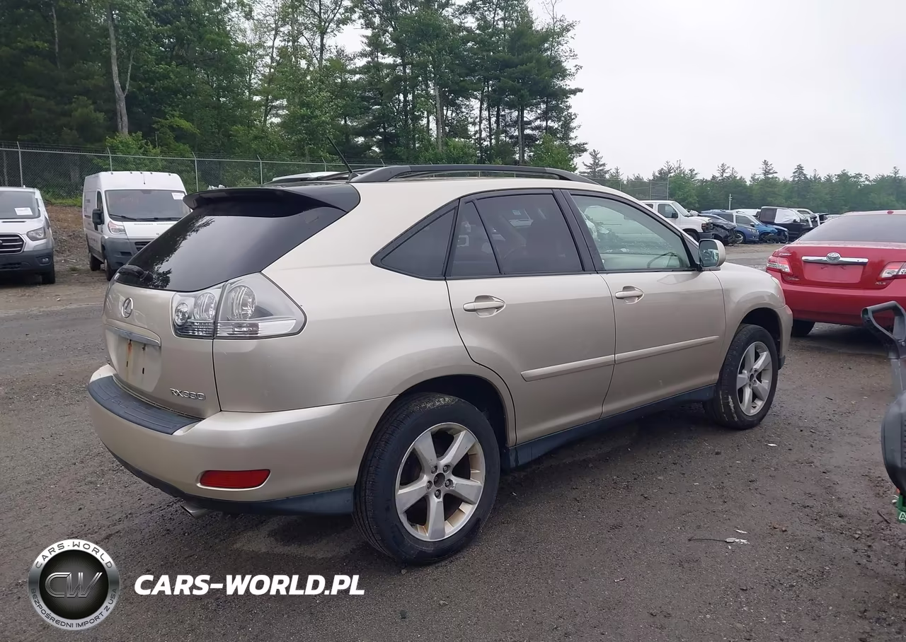 2004 Lexus Rx 330 VIN:JTJHA31U040029049 - 4