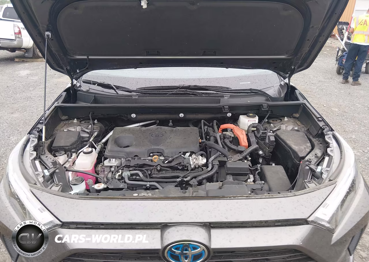 2024 Toyota Rav4 Hybrid Xle VIN:4T3RWRFV5RU110323 - 10