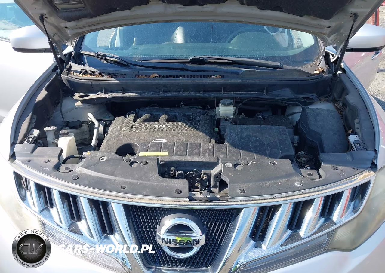 2010 Nissan Murano Sl VIN:JN8AZ1MW0AW110242 - 10
