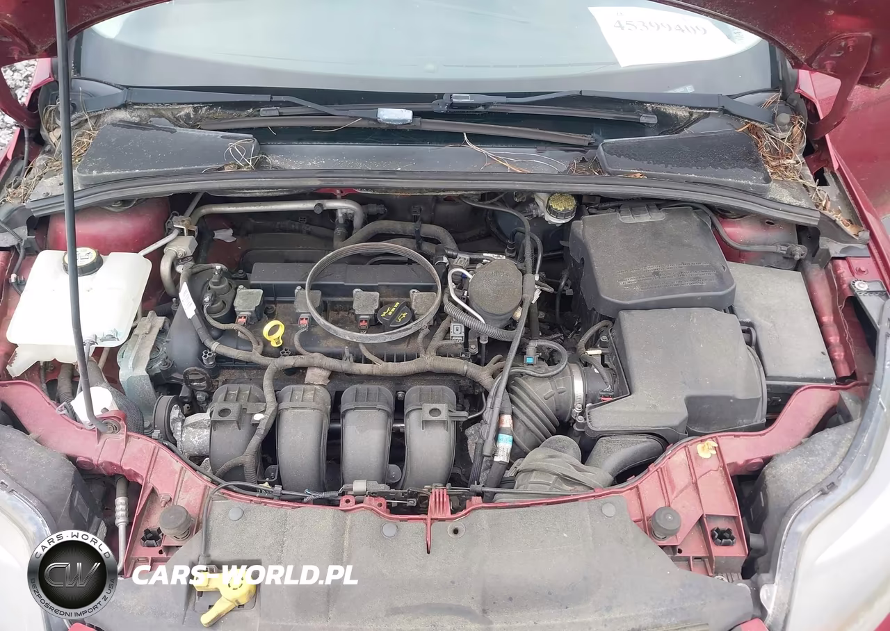 2013 Ford Focus Titanium VIN:1FADP3J26DL198236 - 10