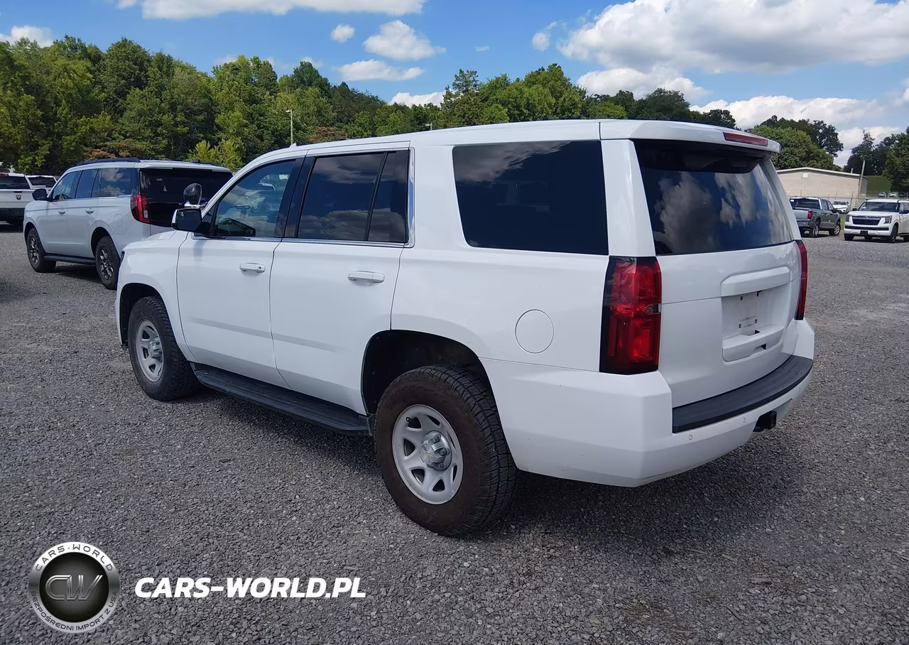 2019 Chevrolet Tahoe Commercial Fleet VIN:1GNSKFECXKR333286 - 3