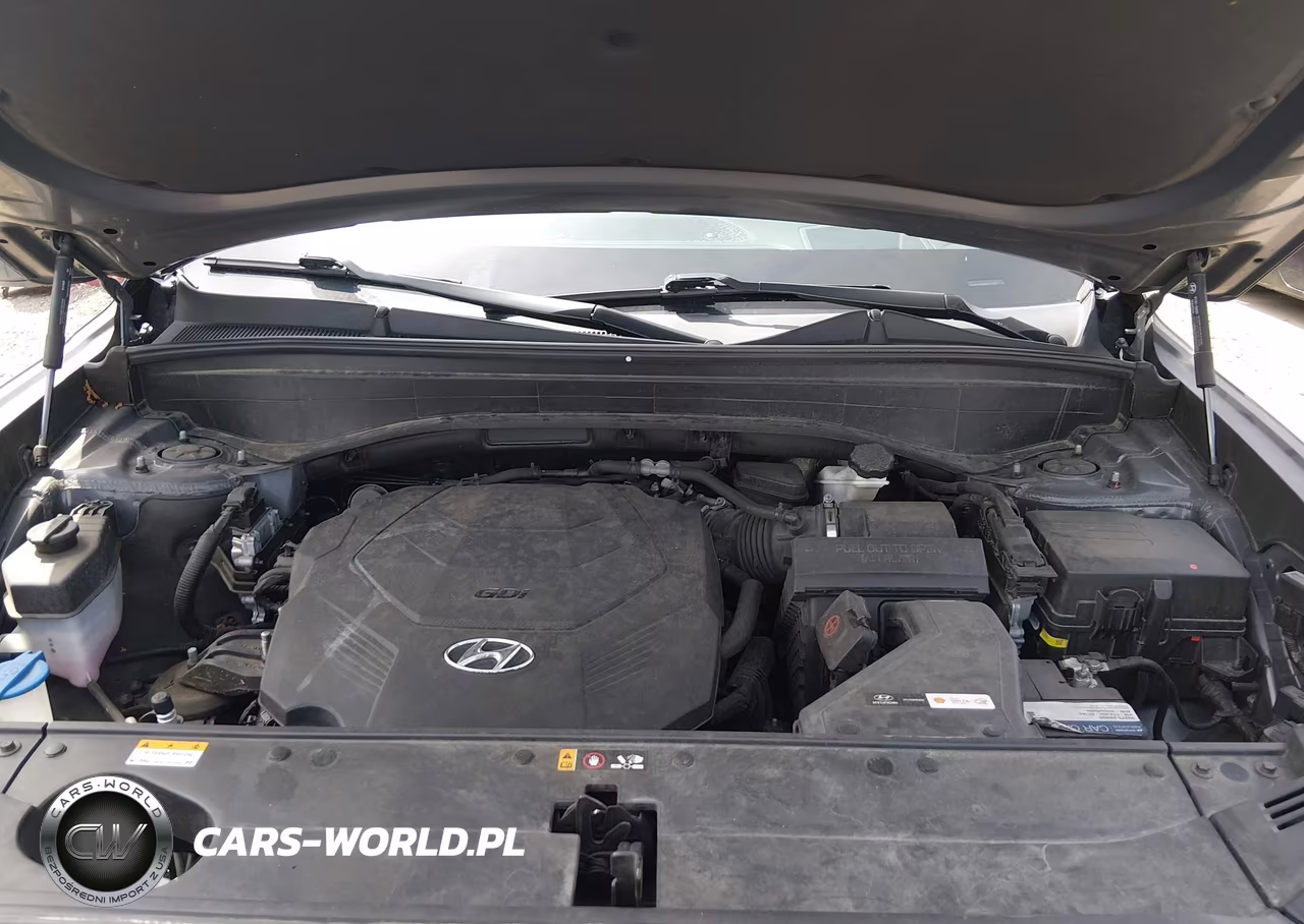 2021 Hyundai Palisade Limited VIN:KM8R5DHE6MU222942 - 10