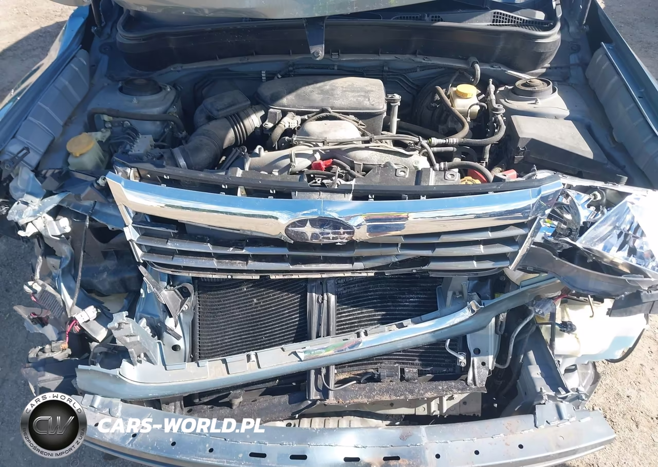 2010 Subaru Forester 2.5X Premium VIN:JF2SH6CC7AH730860 - 10