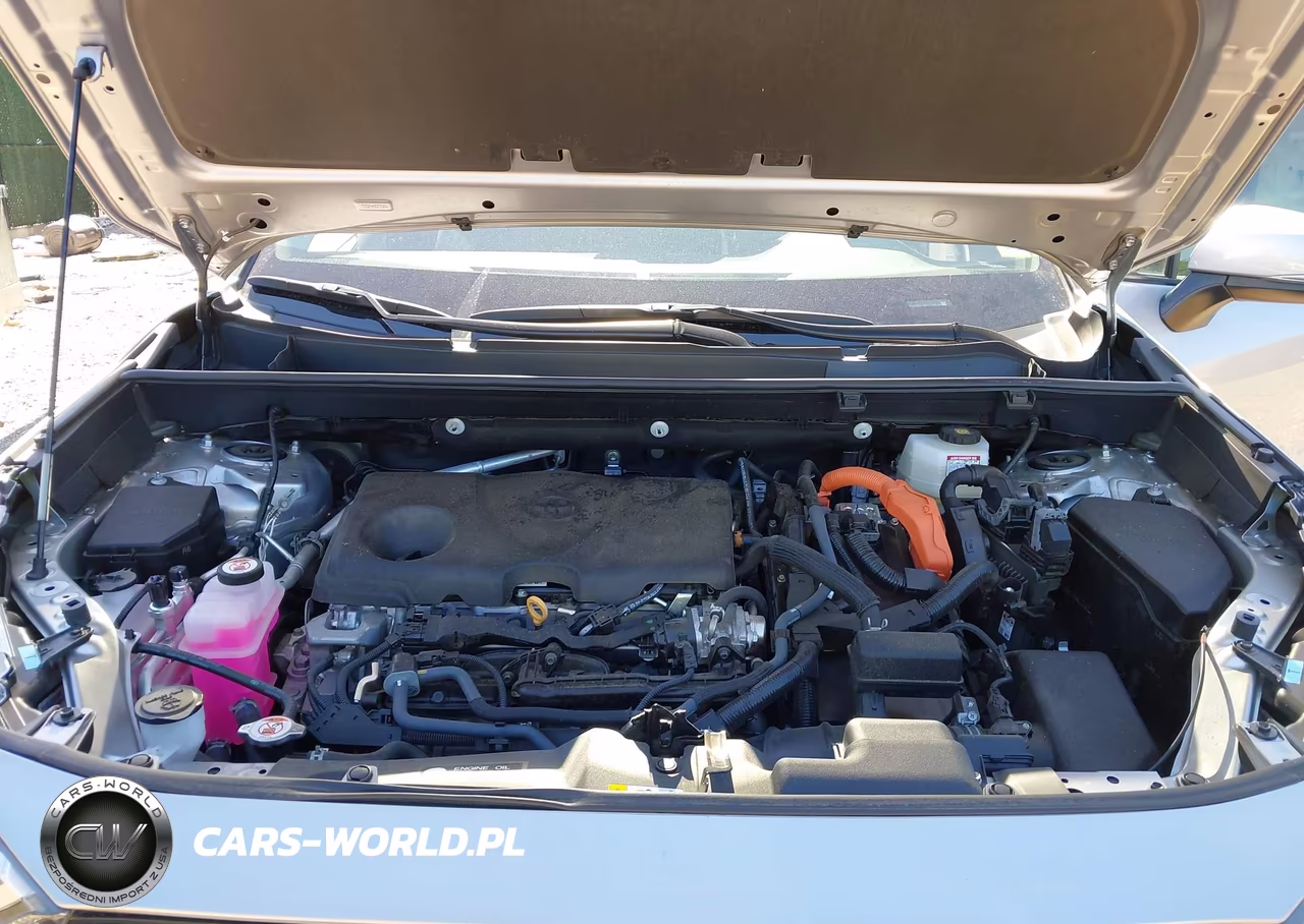 2025 Toyota Rav4 Hybrid Xle VIN:4T3RWRFV9SU176752 - 10