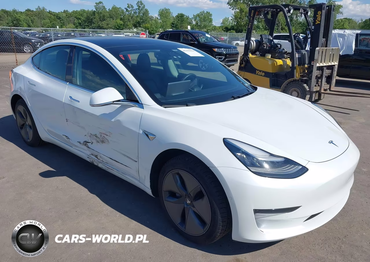 2020 Tesla Model 3 Standard Range Plus Rear-Wheel Drive-Standard Range Rear-Wheel Drive – zdjęcie 1 z 18