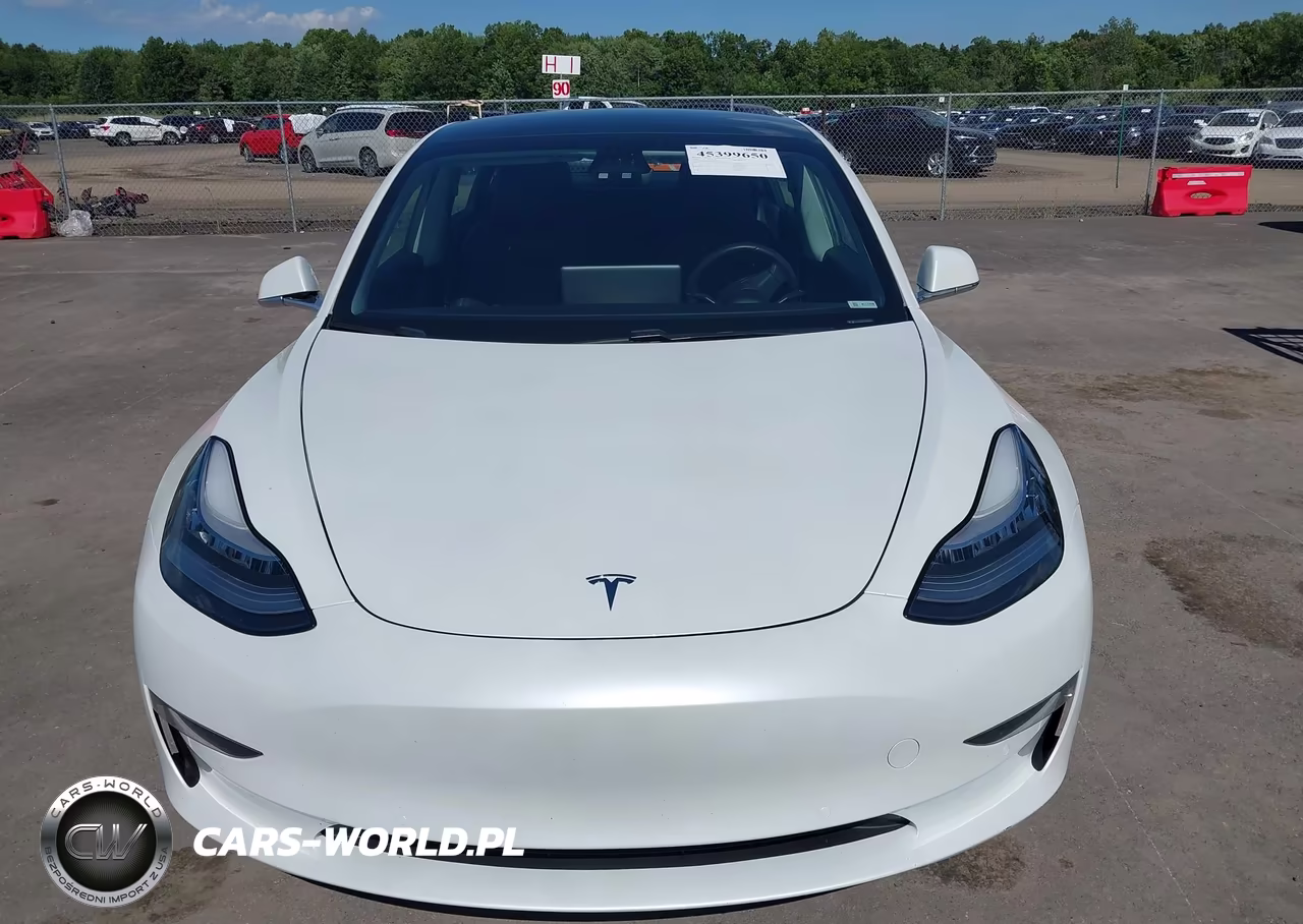 2020 Tesla Model 3 Standard Range Plus Rear-Wheel Drive-Standard Range Rear-Wheel Drive VIN:5YJ3E1EA0LF613649 - 12