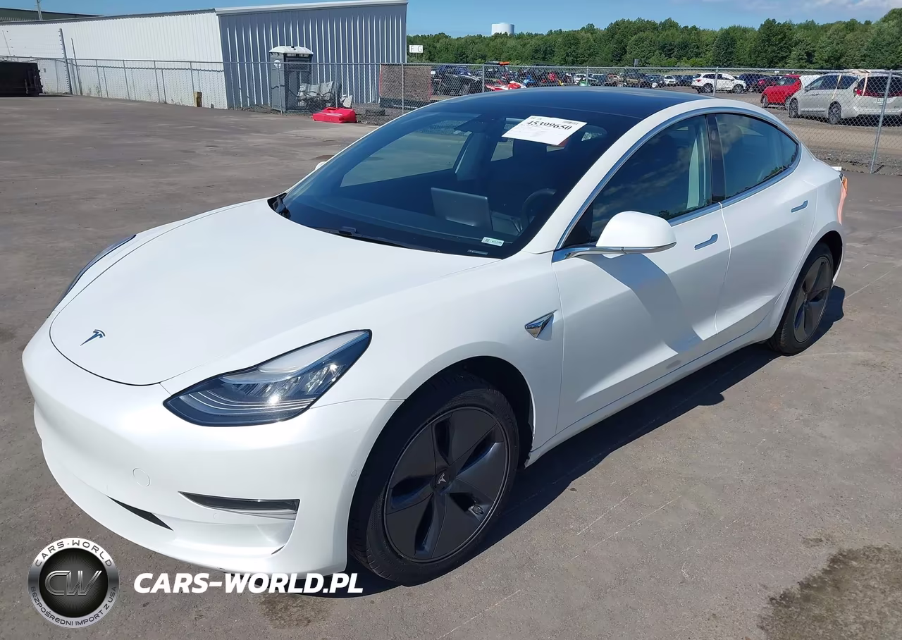 2020 Tesla Model 3 Standard Range Plus Rear-Wheel Drive-Standard Range Rear-Wheel Drive VIN:5YJ3E1EA0LF613649 - 2