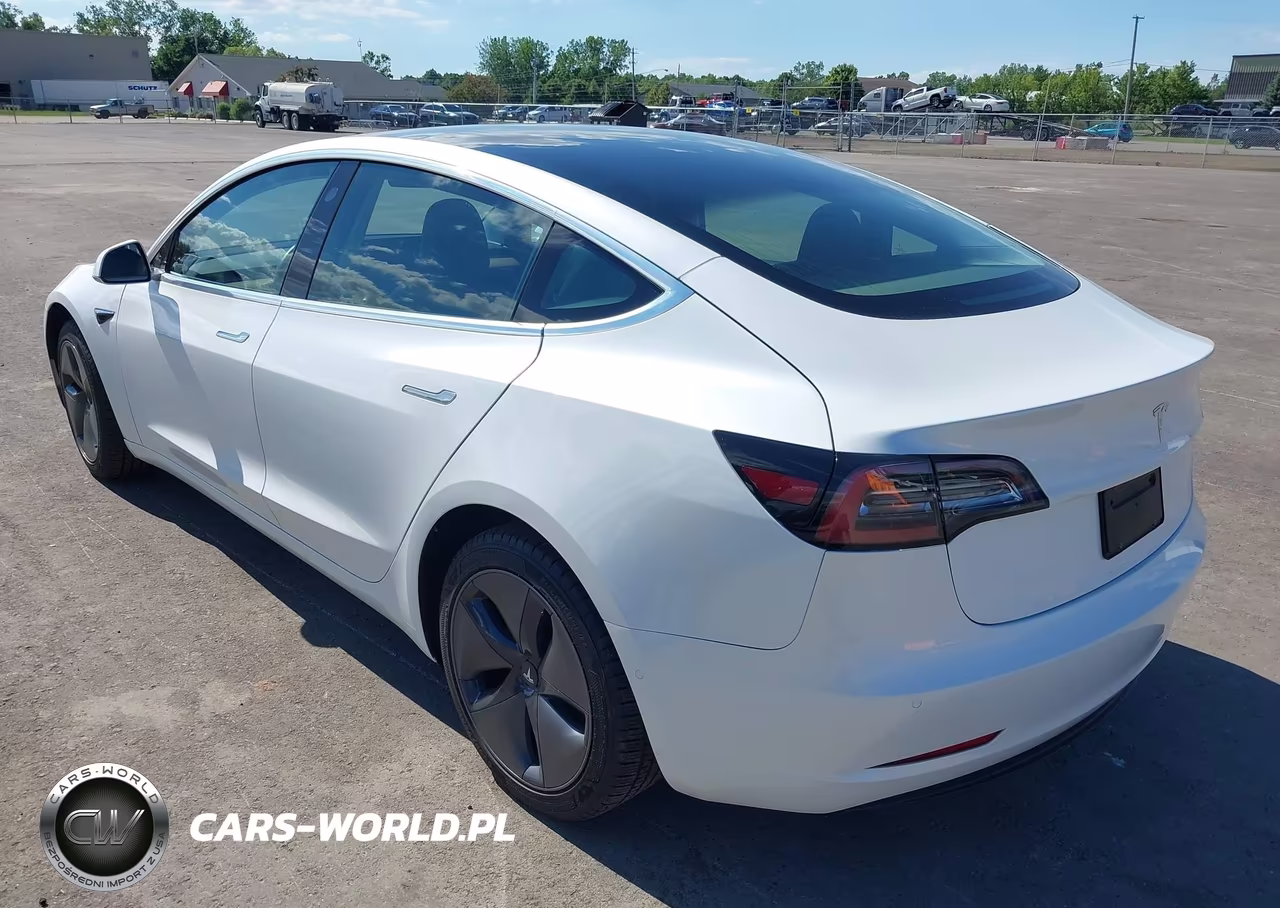 2020 Tesla Model 3 Standard Range Plus Rear-Wheel Drive-Standard Range Rear-Wheel Drive VIN:5YJ3E1EA0LF613649 - 3