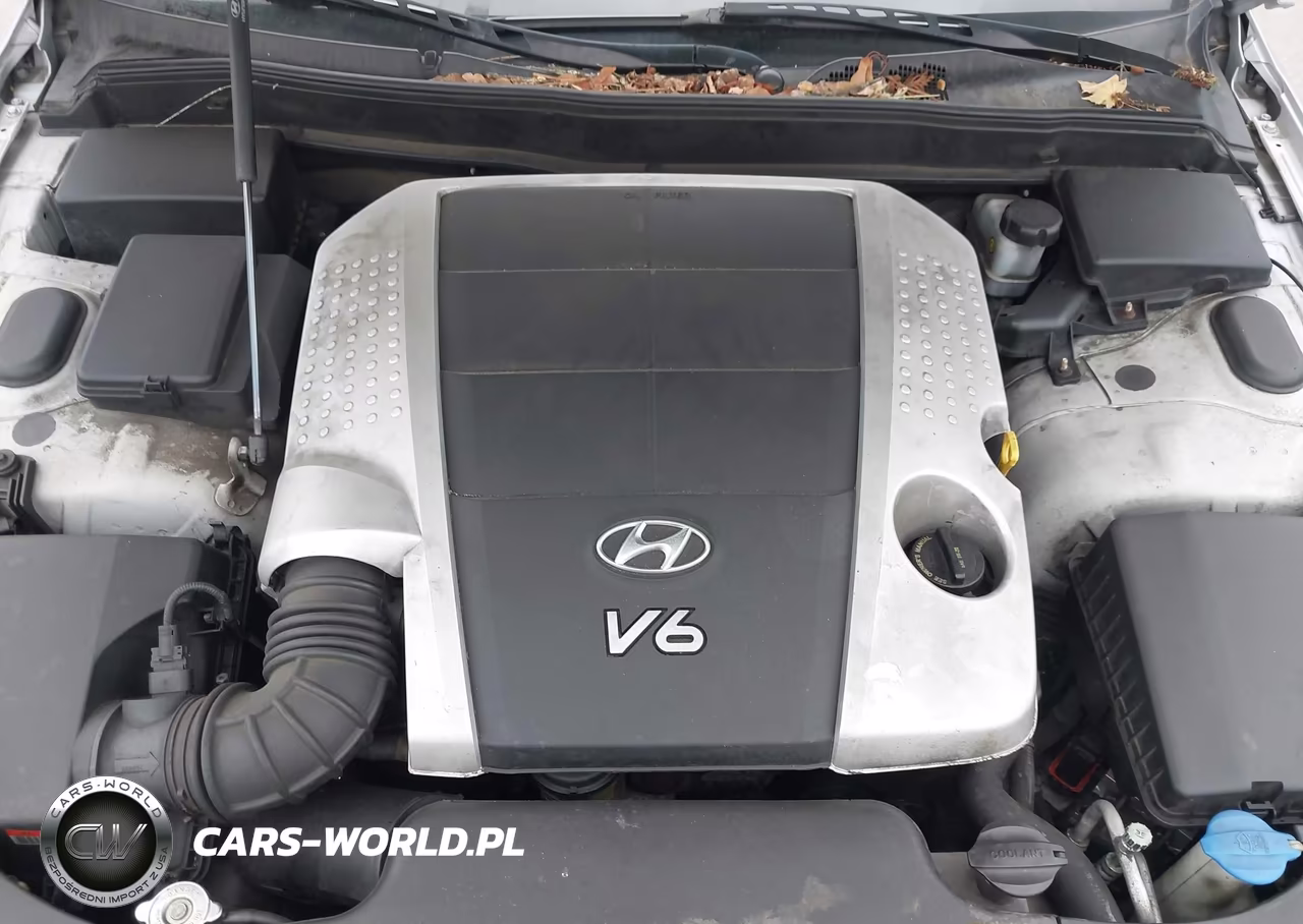 2010 Hyundai Genesis 3.8 VIN:KMHGC4DE6AU099237 - 10