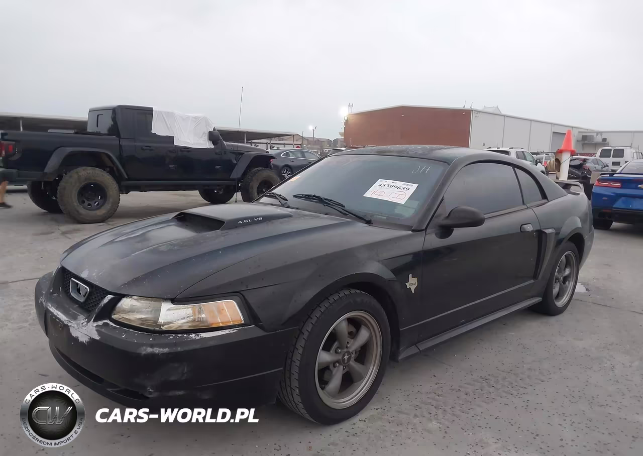 2003 Ford Mustang Gt VIN:1FAFP42X73F303517 - 2