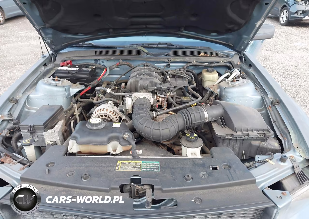 2006 Ford Mustang V6 VIN:1ZVFT80N865175763 - 10