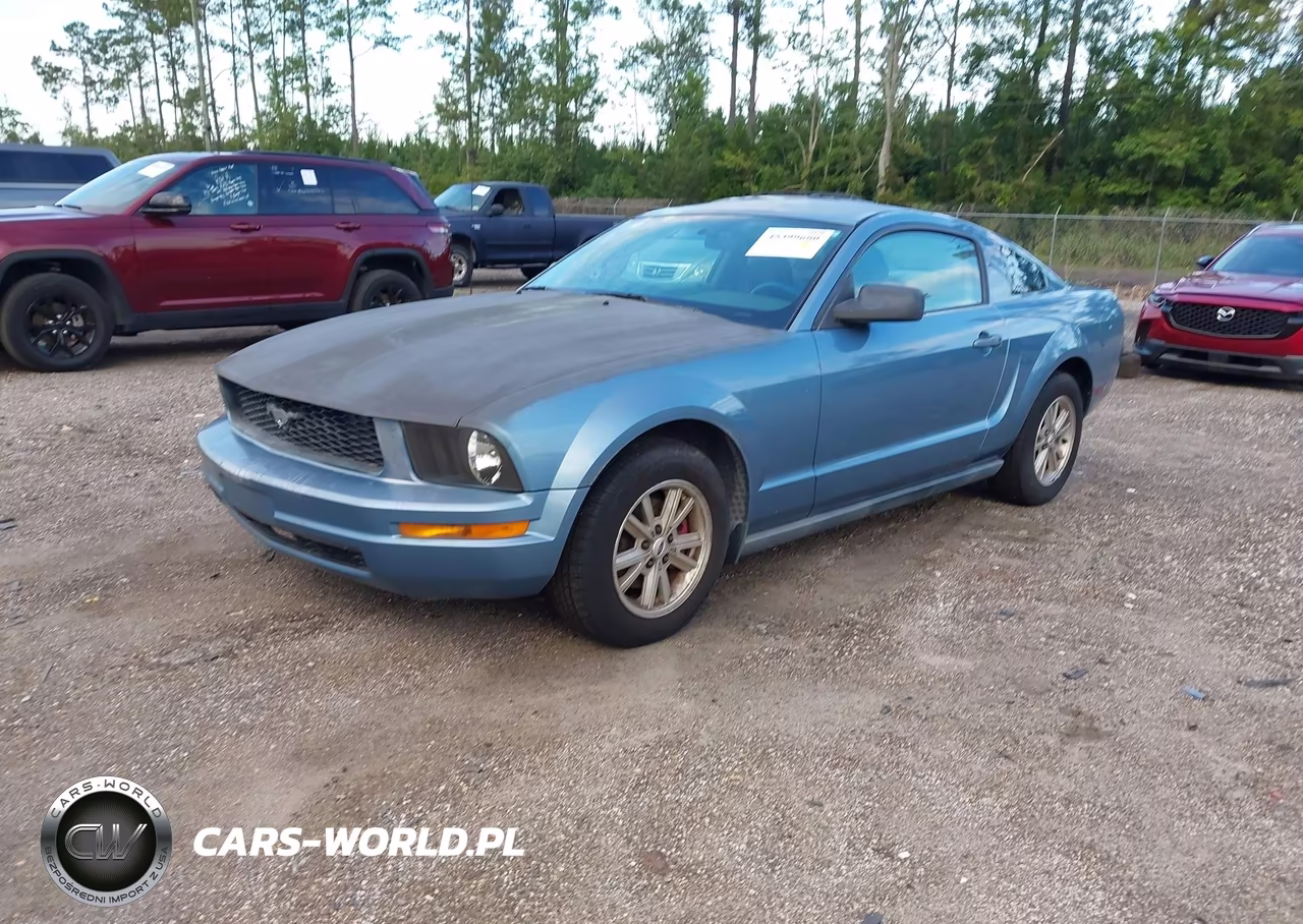 2006 Ford Mustang V6 VIN:1ZVFT80N865175763 - 2