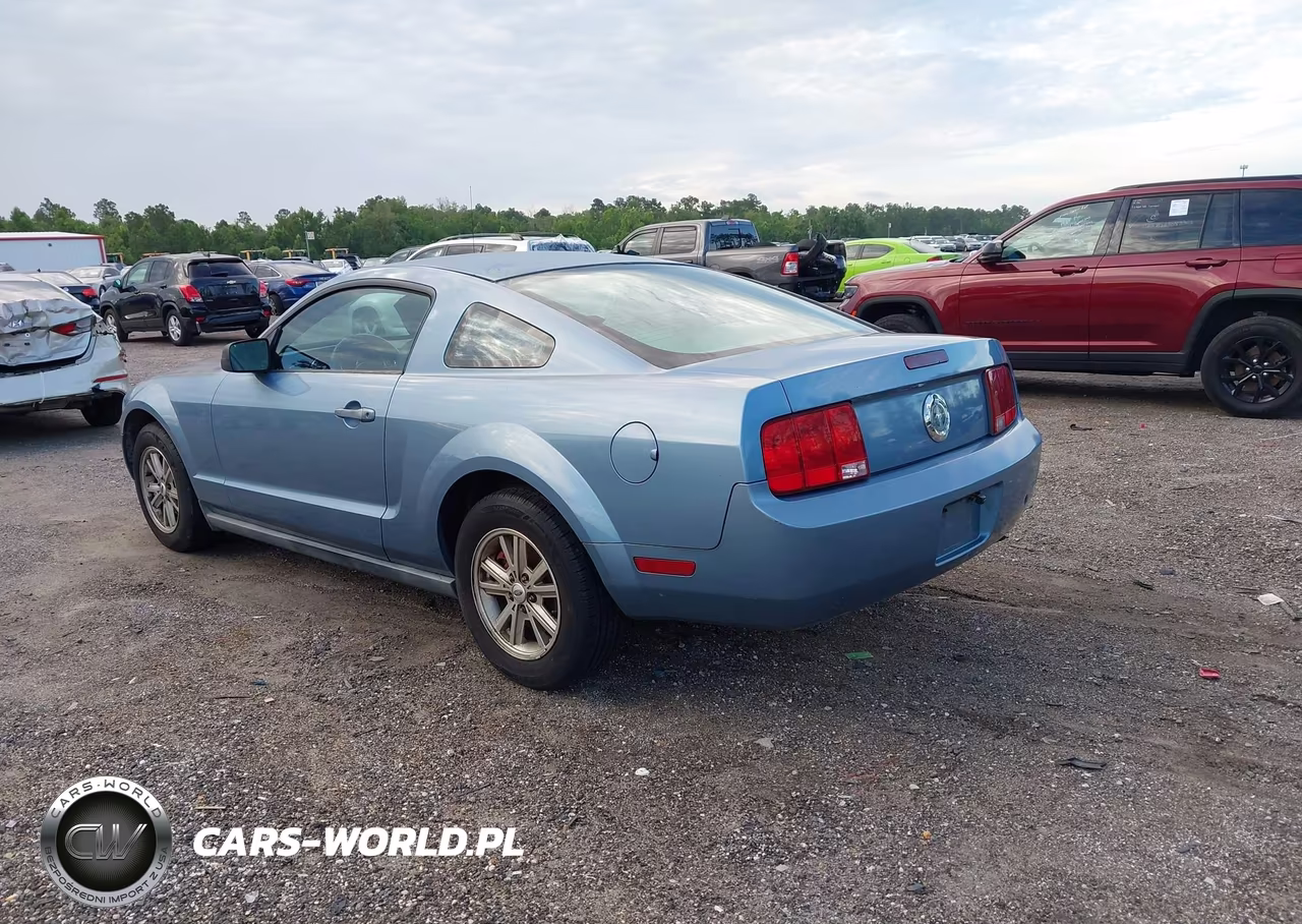 2006 Ford Mustang V6 VIN:1ZVFT80N865175763 - 3