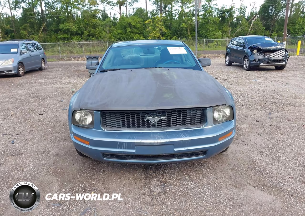 2006 Ford Mustang V6 VIN:1ZVFT80N865175763 - 6