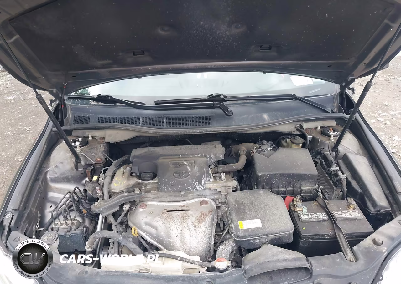 2016 Toyota Camry Se VIN:4T1BF1FKXGU254142 - 10