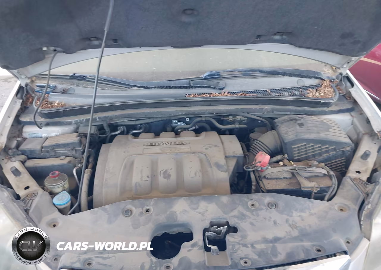 2005 Honda Odyssey Ex VIN:5FNRL384X5B029067 - 10
