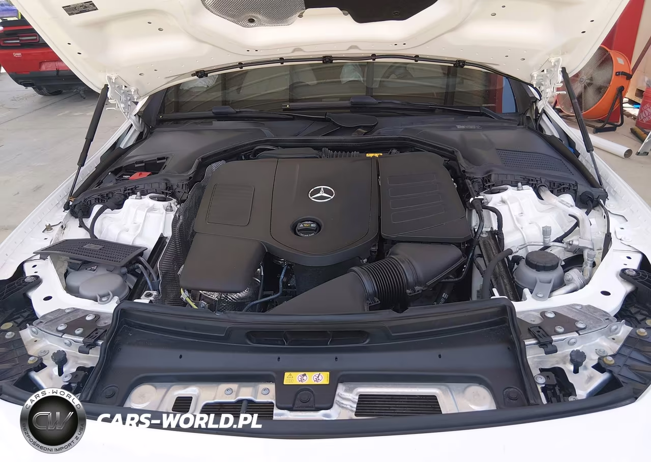 2024 Mercedes-Benz Cle 300 4Matic VIN:W1KMK4HB5RF018647 - 10