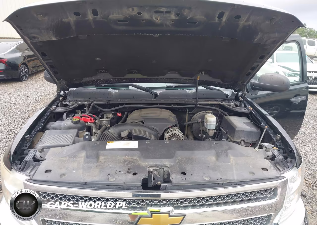 2013 Chevrolet Silverado 1500 Lt VIN:1GCRCSEAXDZ232974 - 10
