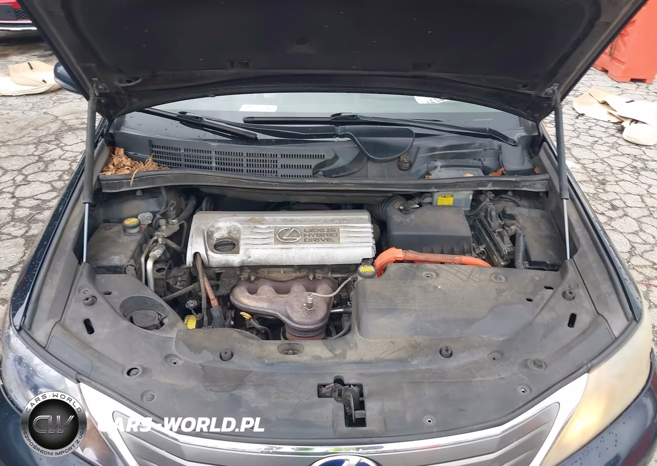 2010 Lexus Hs 250H Premium VIN:JTHBB1BA3A2002232 - 10