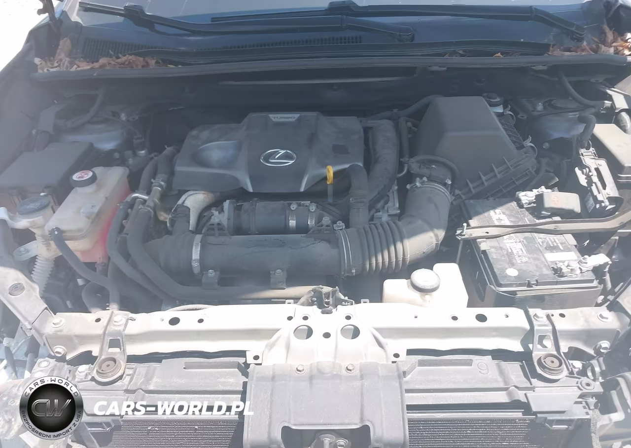 2020 Lexus Nx 300 VIN:JTJGARDZ5L2226260 - 10