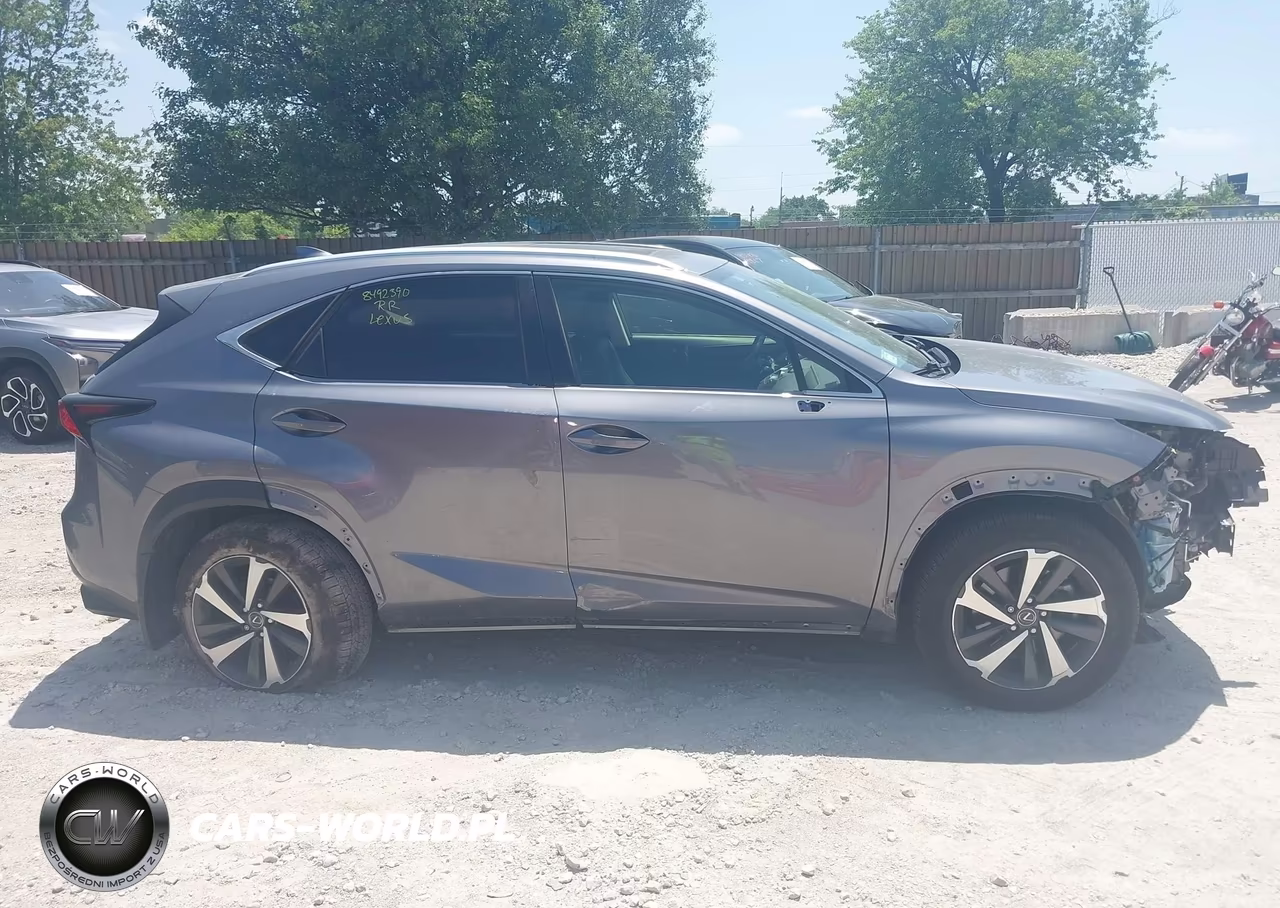 2020 Lexus Nx 300 VIN:JTJGARDZ5L2226260 - 13