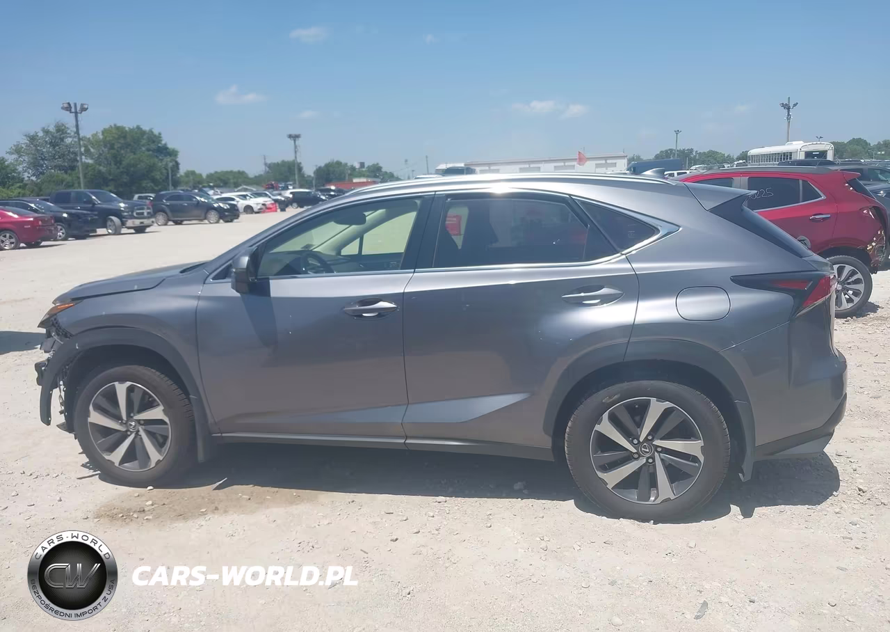 2020 Lexus Nx 300 VIN:JTJGARDZ5L2226260 - 14