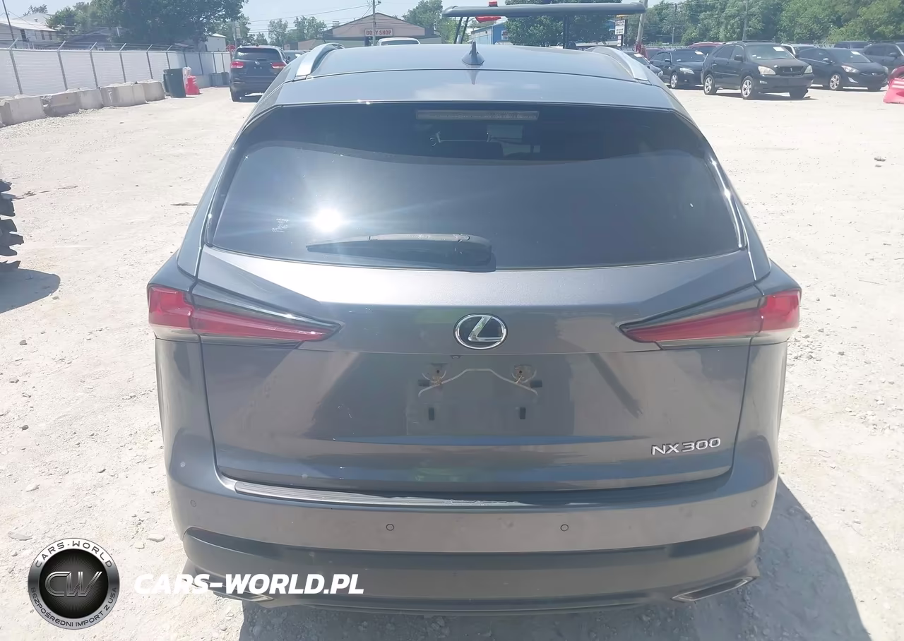 2020 Lexus Nx 300 VIN:JTJGARDZ5L2226260 - 16