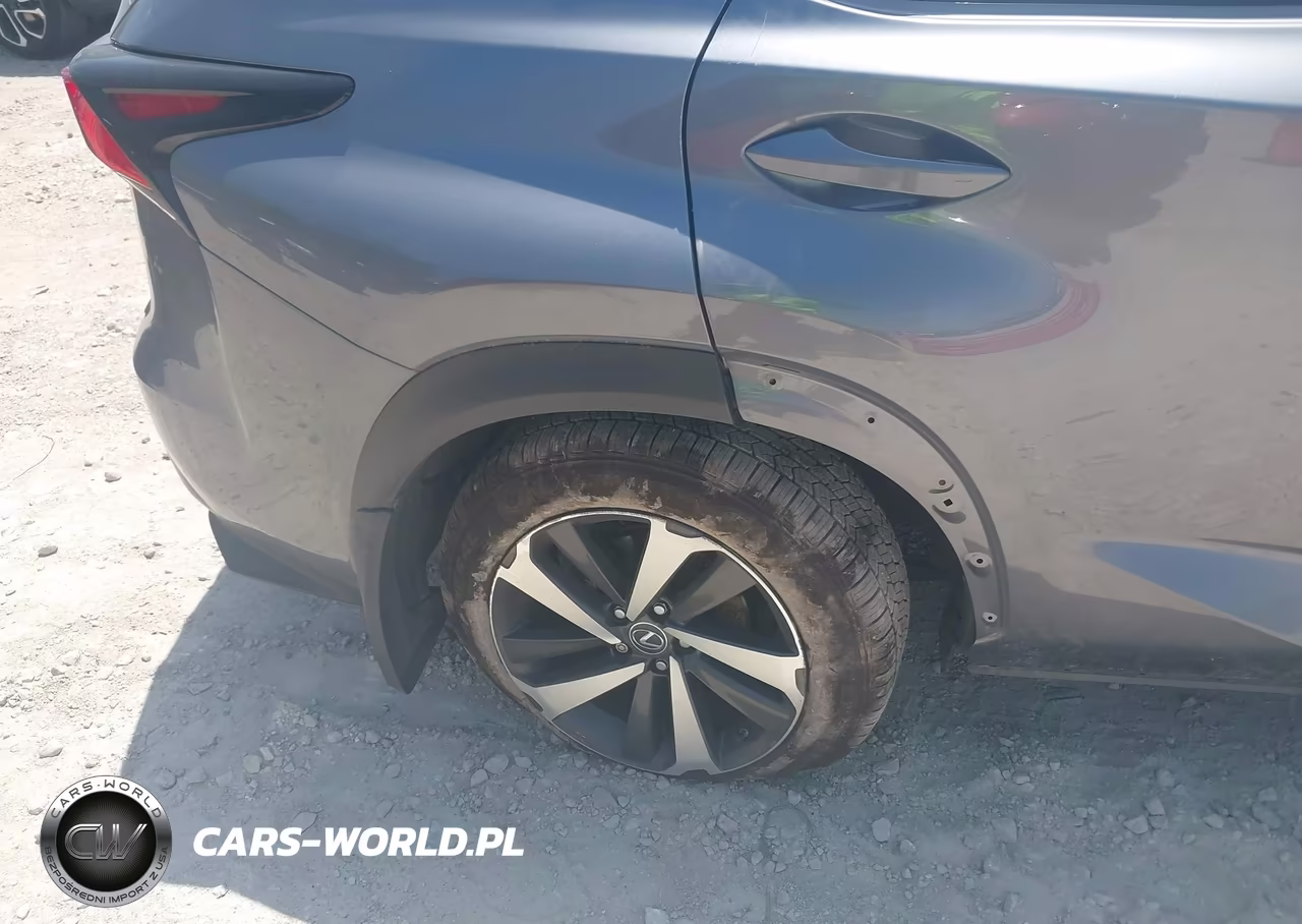 2020 Lexus Nx 300 VIN:JTJGARDZ5L2226260 - 18