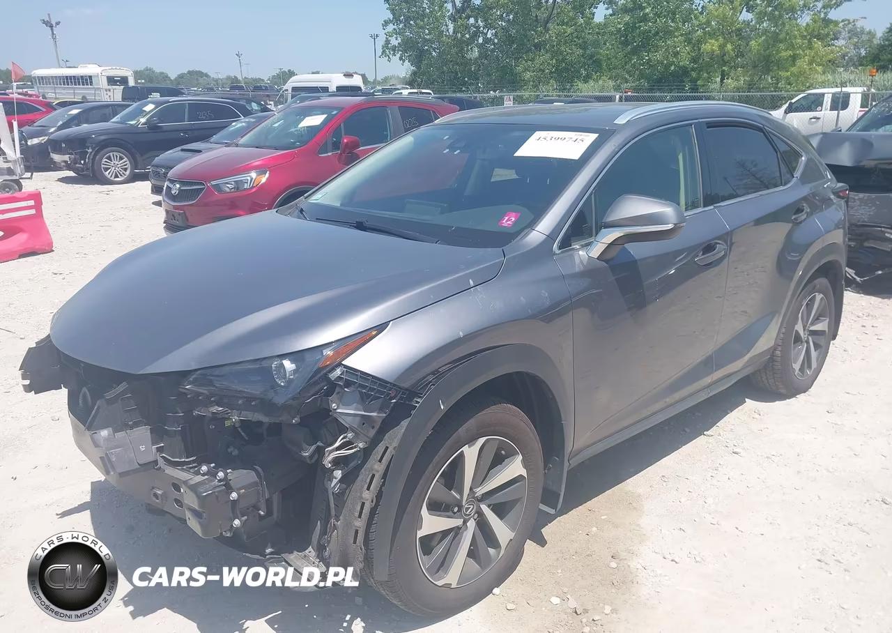 2020 Lexus Nx 300 VIN:JTJGARDZ5L2226260 - 2