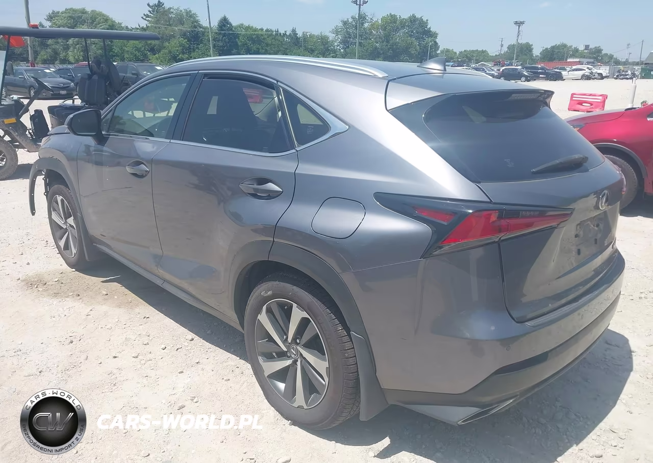 2020 Lexus Nx 300 VIN:JTJGARDZ5L2226260 - 3