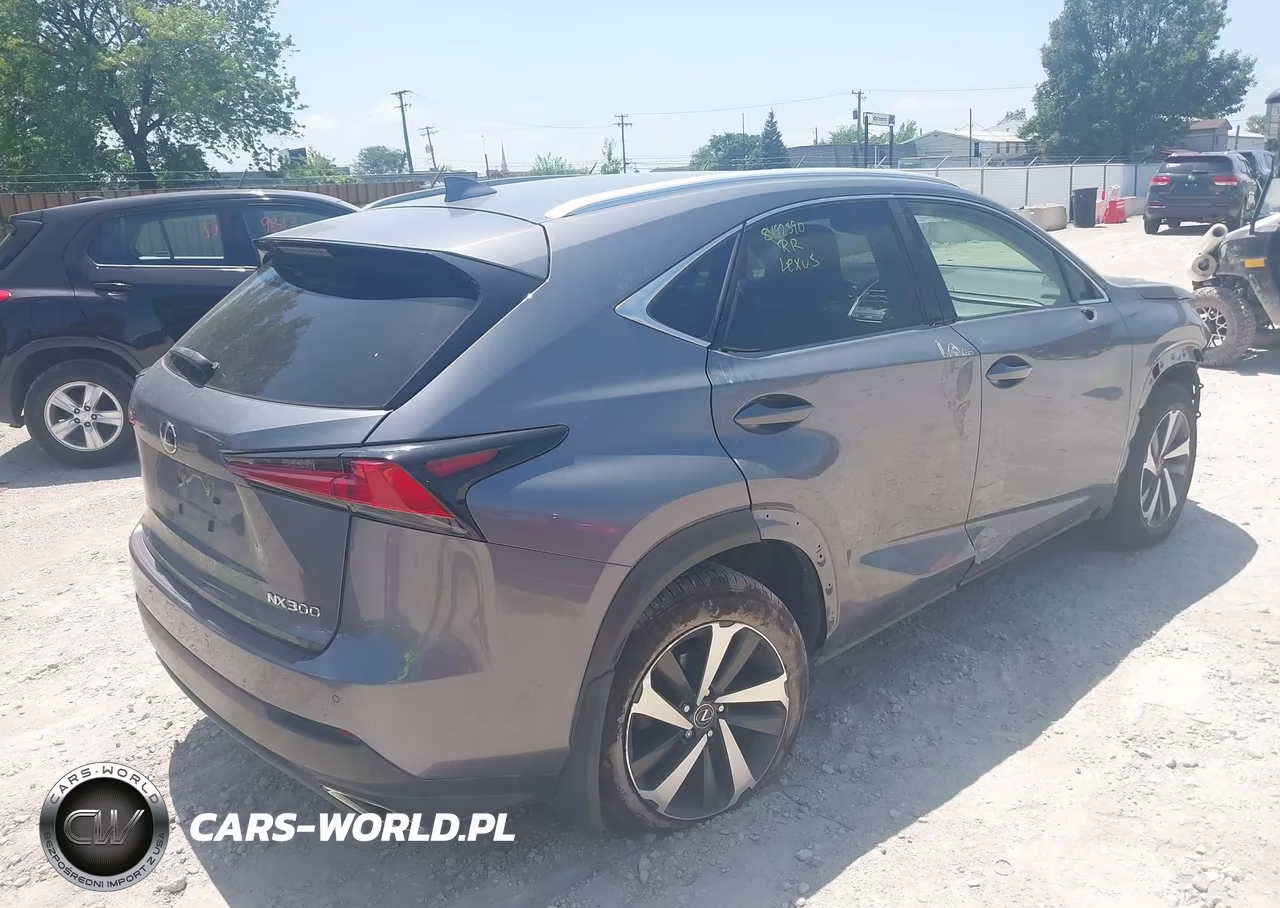 2020 Lexus Nx 300 VIN:JTJGARDZ5L2226260 - 4