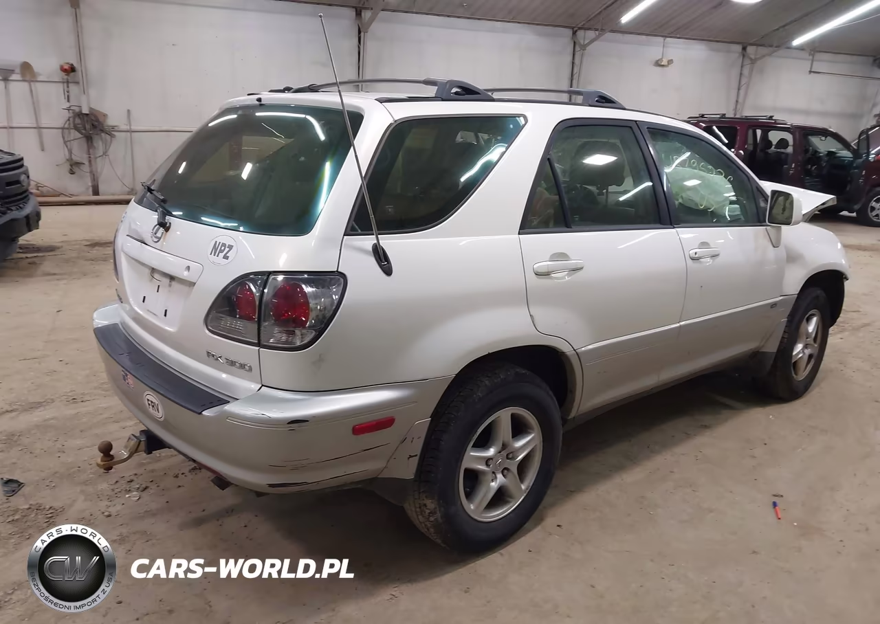 2003 Lexus Rx 300 VIN:JTJGF10U730161498 - 4