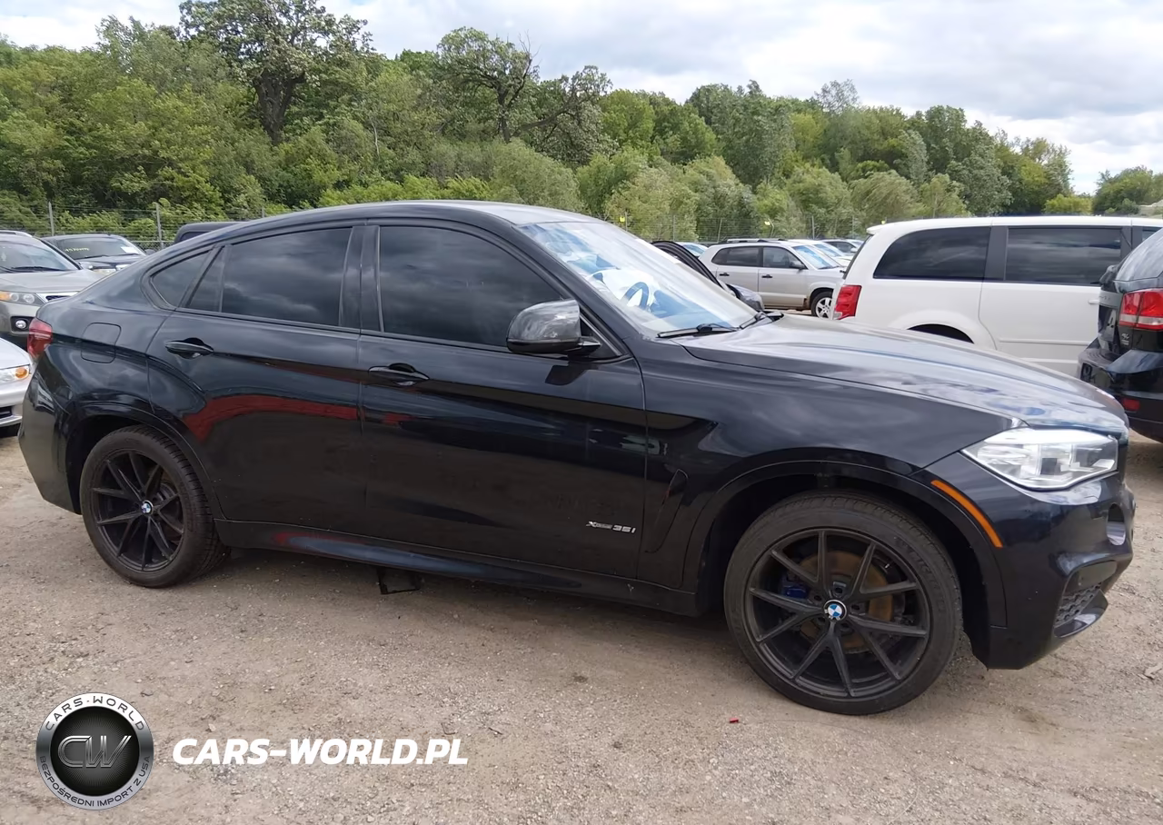 2015 BMW X6 xDrive35I VIN:5UXKU2C5XF0F95952 - 13