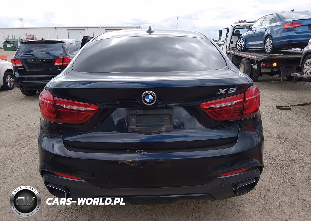 2015 BMW X6 xDrive35I VIN:5UXKU2C5XF0F95952 - 16