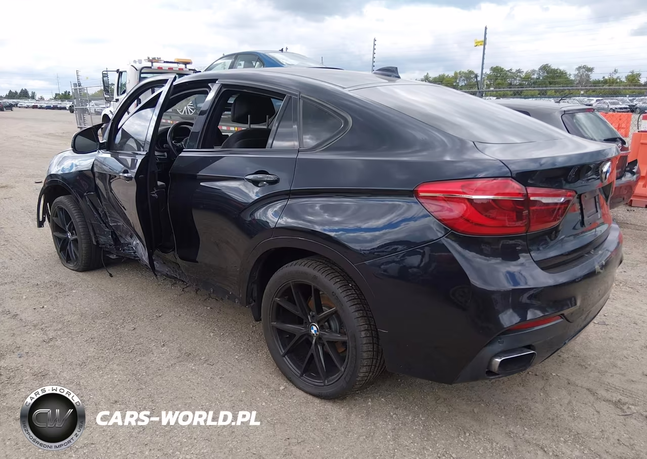 2015 BMW X6 xDrive35I VIN:5UXKU2C5XF0F95952 - 3